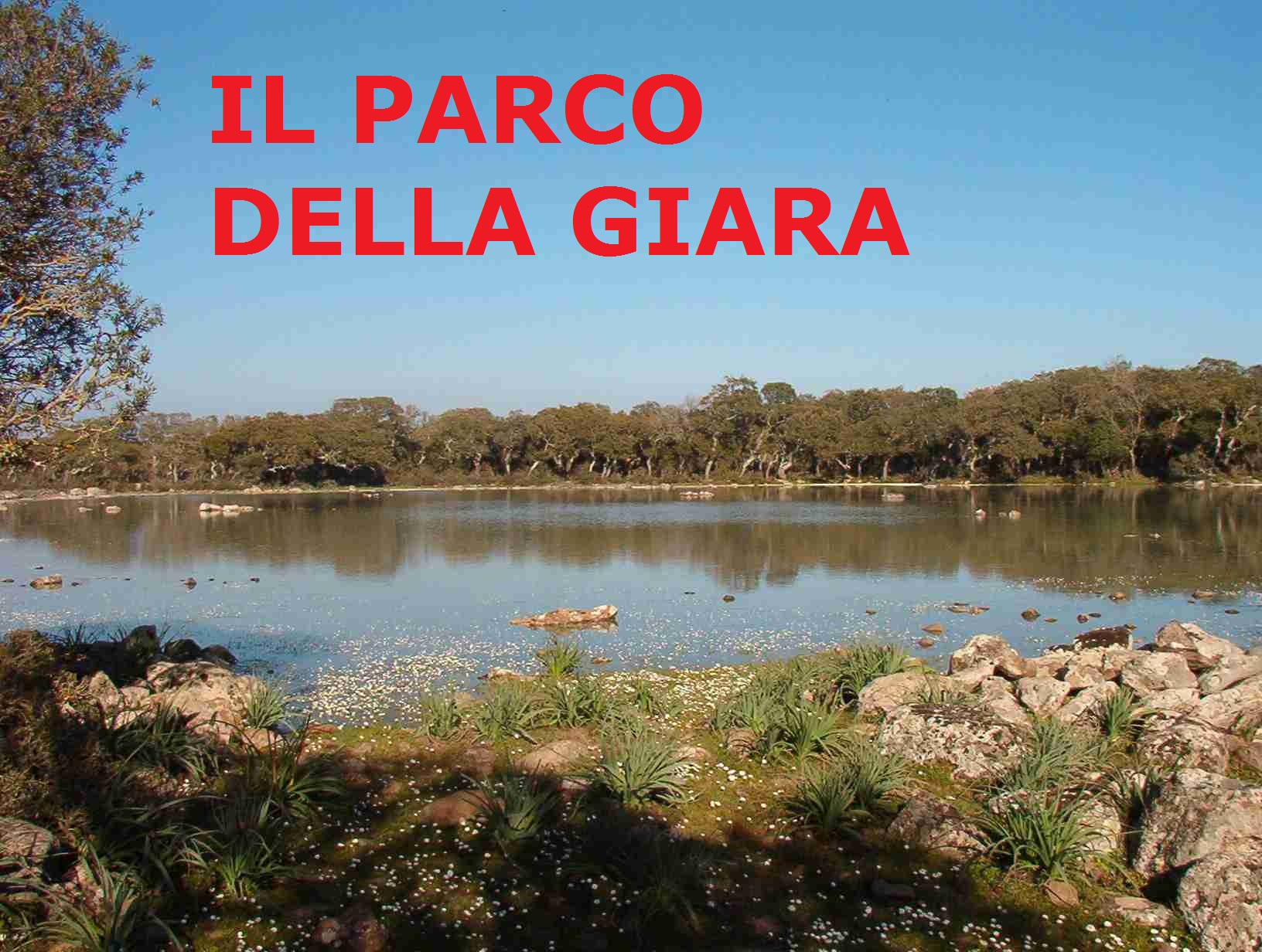 pauli-giara-sardegna4