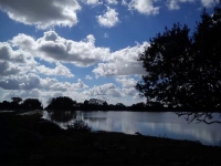 IMG_10902368244070.jpeg